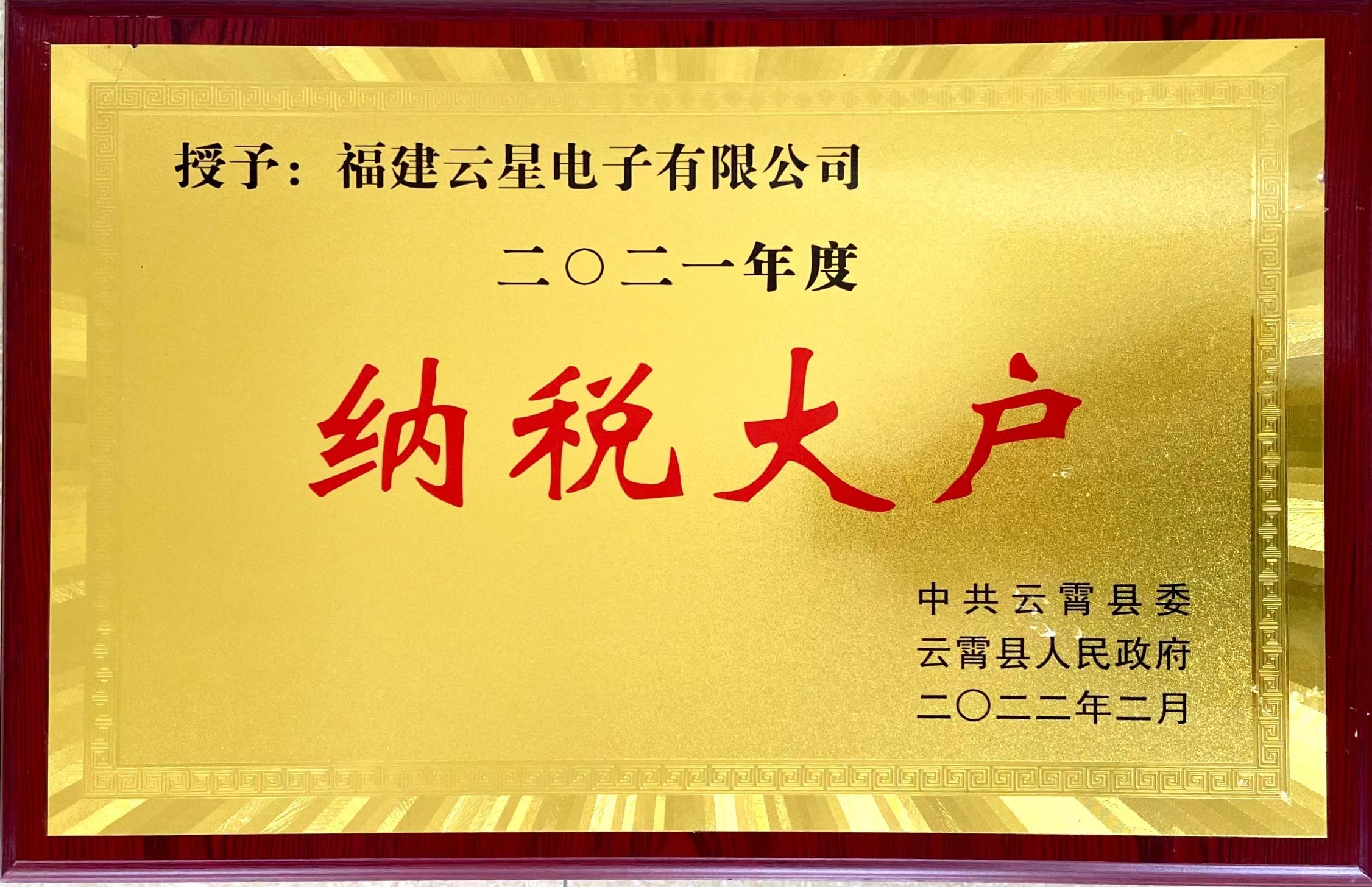 2021年度纳税大户